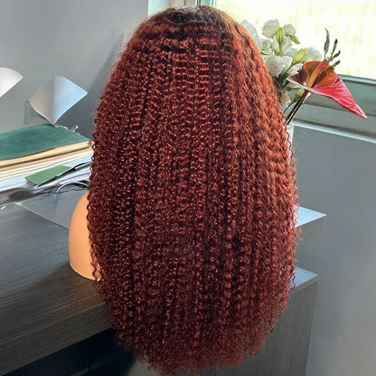 Afro Colored Bleached Knots Human Hair Wig
